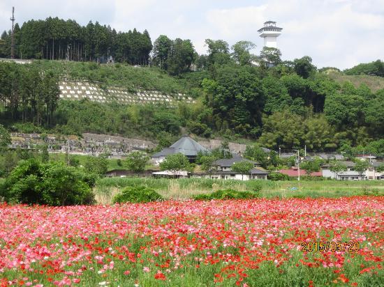 Kitsuregawa Sky Tower