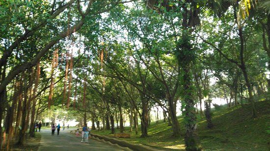 Putrajaya Botanical Garden