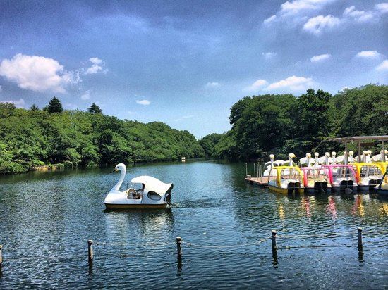 Parque Inokashira
