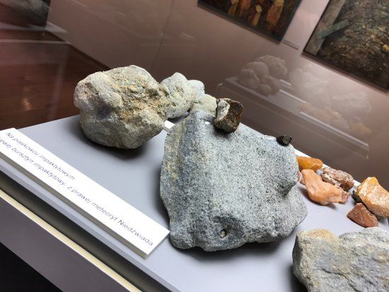 Muzeum Przyrodnicze