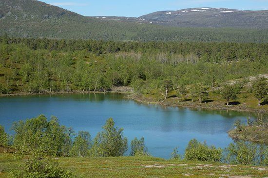 Stabbursdalen National Park