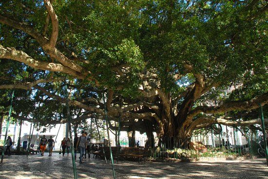 Praca XV de Novembro