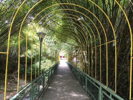 Jardin Botanico Eloy Valenzuela