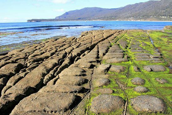 Tessellated Pavement