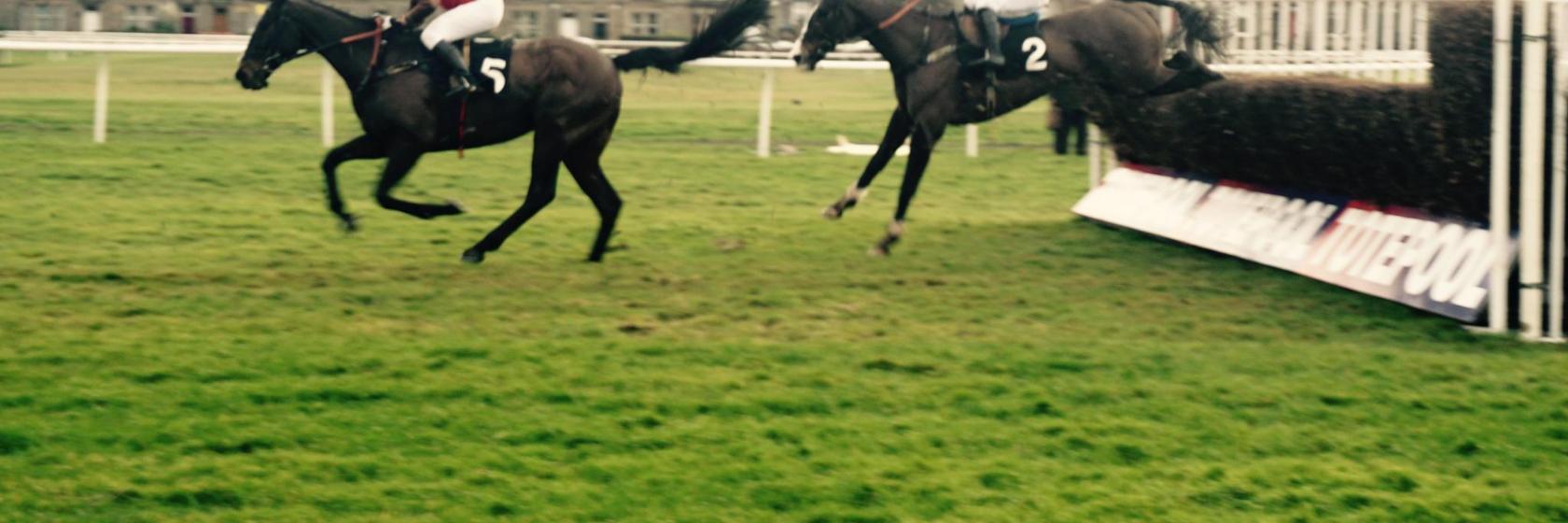 Musselburgh Racecourse