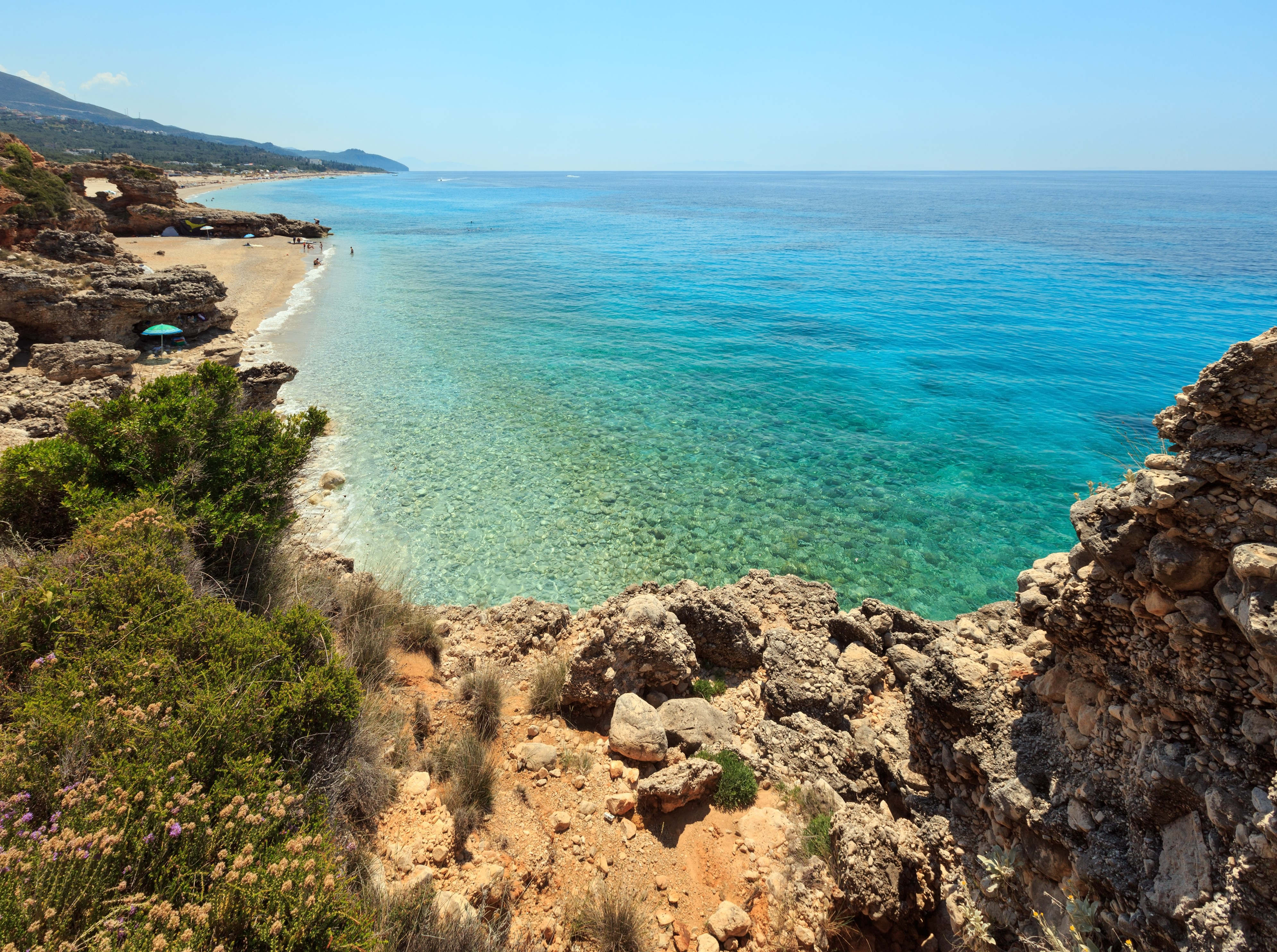 Drymades