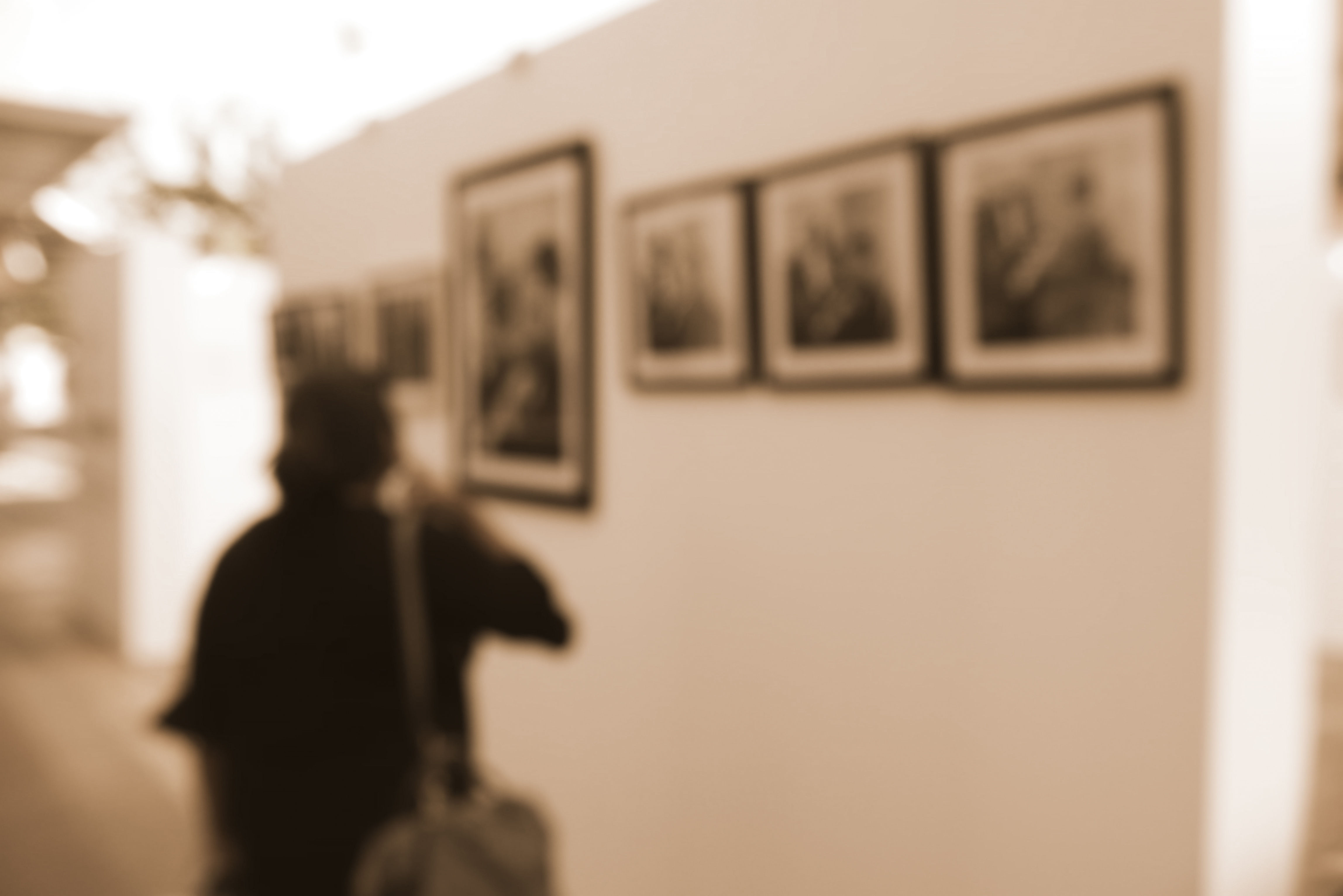 Museo de Arte Moderno de Céret