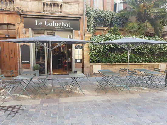 Le Galuchat