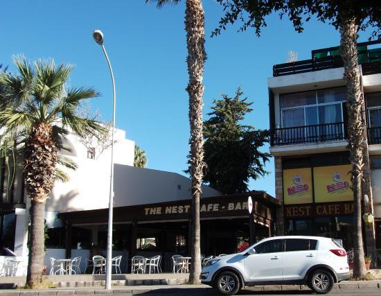 Nest cafe bar