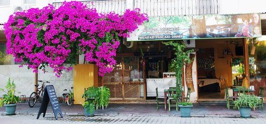 Altin Tava Gozleme Evi