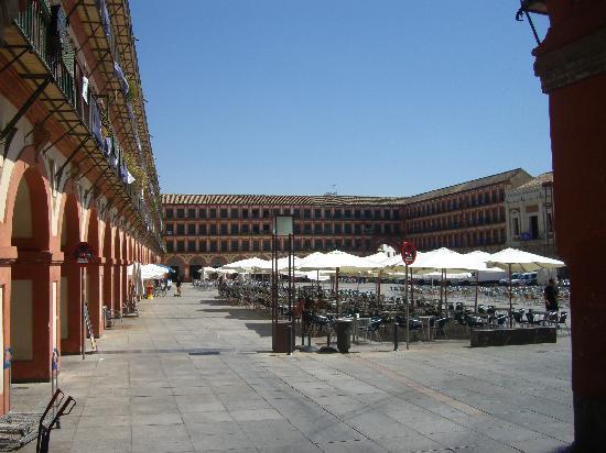 La Paloma