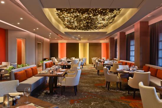 Vivaldi by Mavrommatis