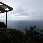 Seasons at the Ambassador