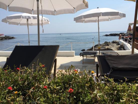 Bagni Ristorante Ippocampo