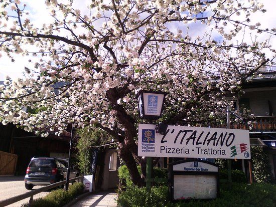 Pizzeria Trattoria L'italiano