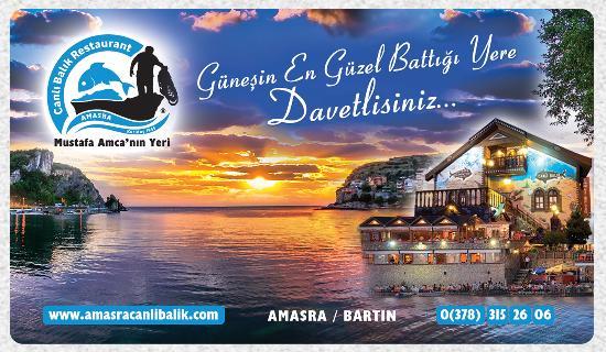 Mustafa Amca'nin Yeri