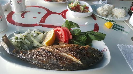 Sultanahmet Koftecisi