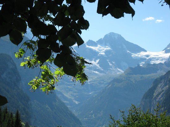 Hotel Falken Wengen Restaurant