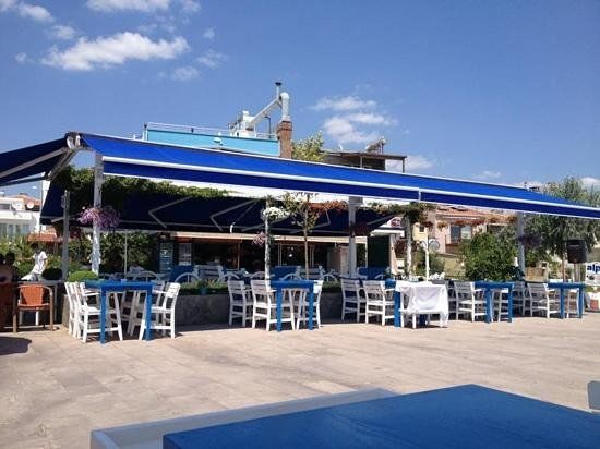 Alp Balikcilik ve Balikevi