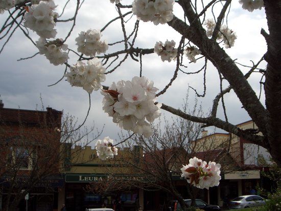 Leuralla Toy and Railway Museum