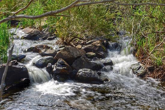 Molonglo Gorge