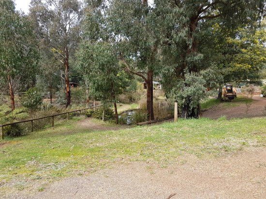 Marysville Trout and Salmon Ponds