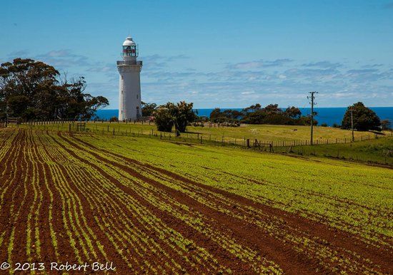 Table Cape Lighthouse Experience
