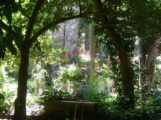 Jardín Botánico