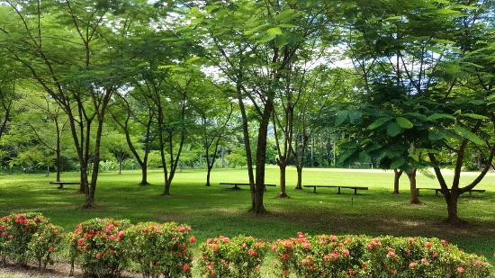 Lancetilla Botanical Garden