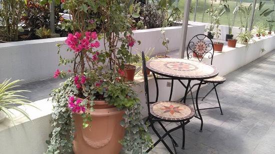 Parcul Alexandru Ioan Cuza