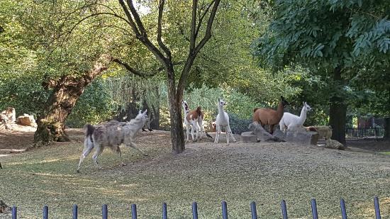 City Zoological Garden in Warsaw