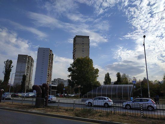 Mladost