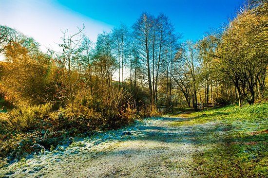 Waseley Hills Country Park