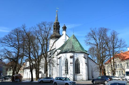 Dom van Tallinn