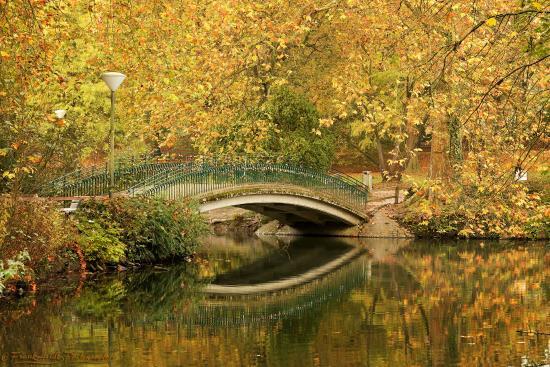 Rombergpark Botanical Garden