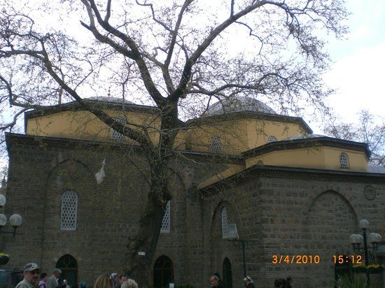 Orhan Gazi Camisi