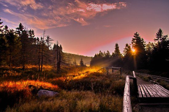 National-Park Harz