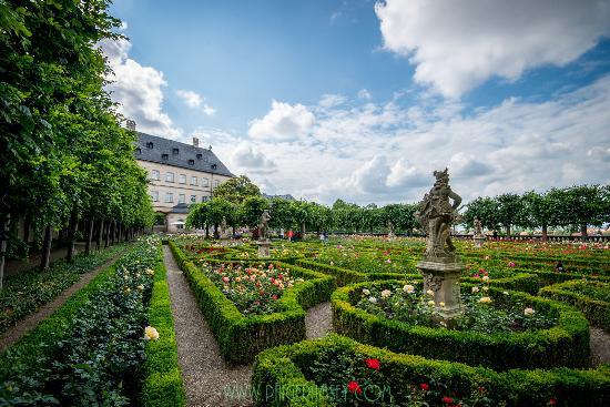 Rose Garden at the New Residenz