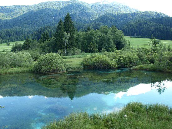 Natuurreservaat Zelenci