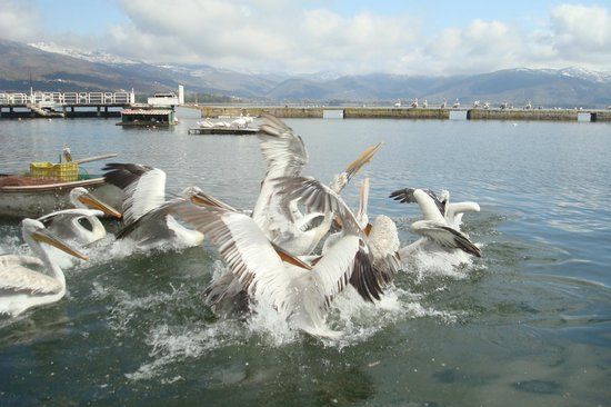 Kastoria-meer