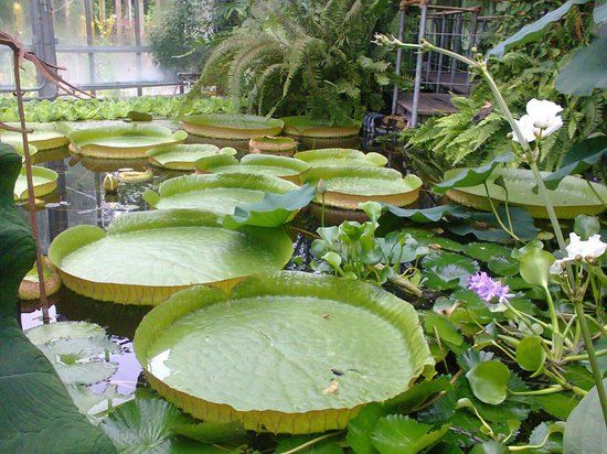 Kiel Botanical Gardens