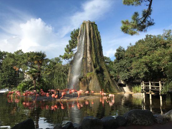 Zoo de la Palmyre