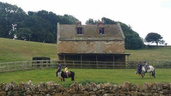Abbotsbury Childrens Farm