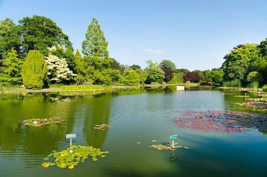Burnby Hall Gardens and Museum