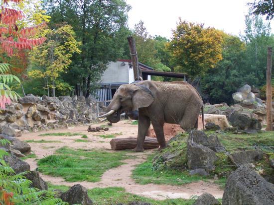 Zoo d'Amneville