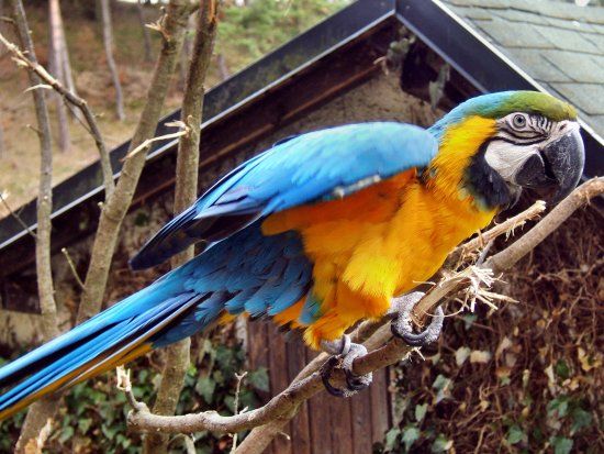 Tierpark Herborn