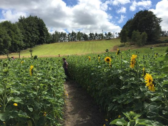 Priory Farm Nursery