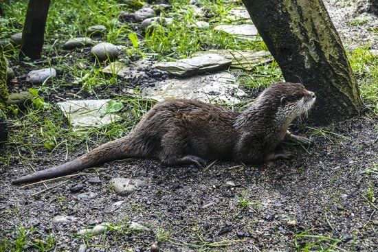 Ecomuseum Fluviarium of Lierganes