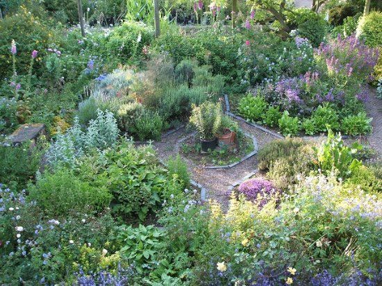 Moors Meadow Gardens & Nursery