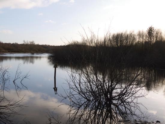 Thorne and Hatfield Moors